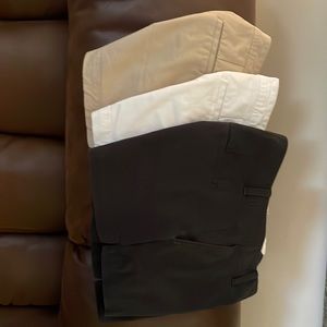 GAP City Short Bundle